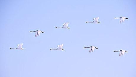 3A科幻动作冒险游戏《EXODUS》世界观视频“绿色世界”发布