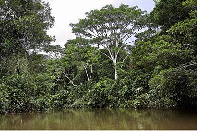 《狂野之心》DF分析评测：设计出色但BUG多